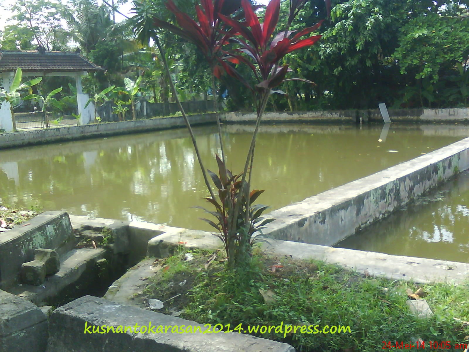 Kolam Ikan Dusun Karasan Kusnantokarasancom